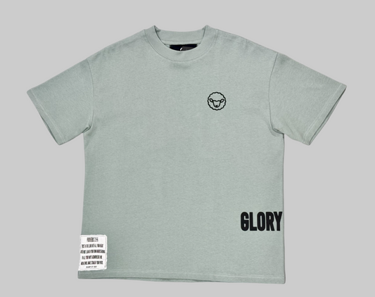 Glory of God Oversized Half Sleeve T-Shirt - Premium Cotton in Seafoam Green